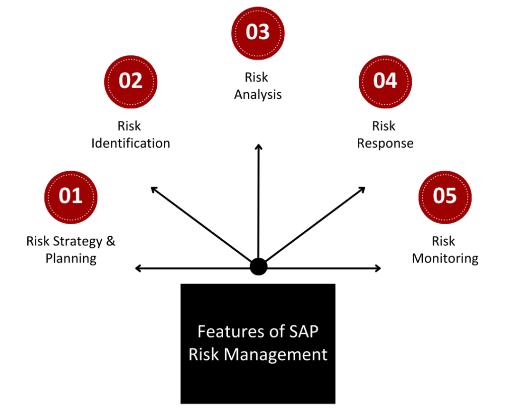 Features of SAP Risk Management