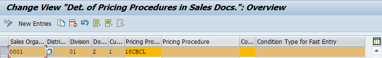 Pricing Procedure Determination 