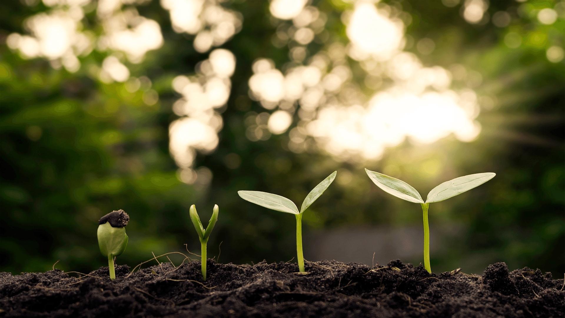 SAP-PLM-and-Sustainability-A-Roadmap-to-Greener-Product-Innovation