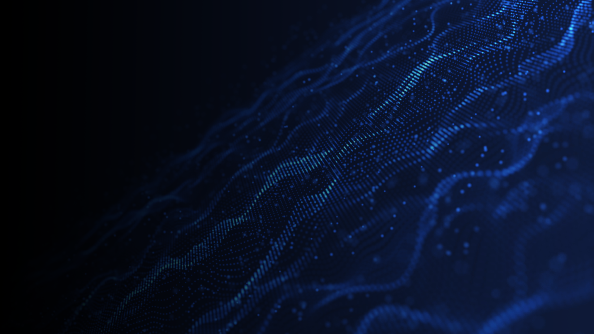 ERP – rise with sap